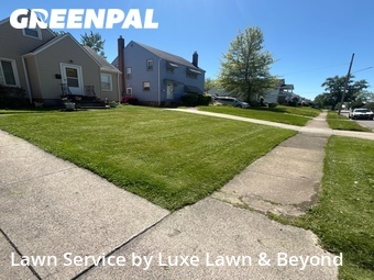 Lawn Mow nearby Garfield Heights, OH, 