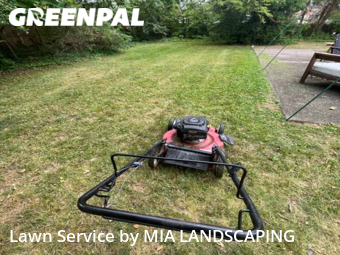 Grass Cut nearby Towson, MD, 