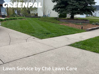 Lawn Mowing Service nearby Joliet, IL, 
