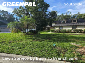 Grass Cutting nearby Jacksonville, FL, 