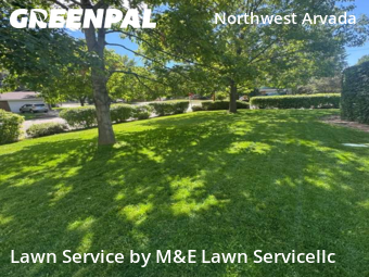 Yard Cutting nearby Arvada, CO, 