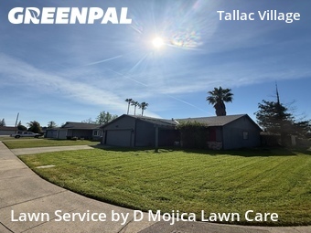 Lawn Mowing nearby Sacramento, CA, 