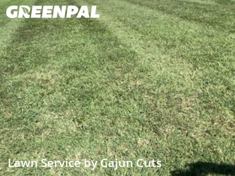 Lawn Care nearby Murfreesboro, TN, 