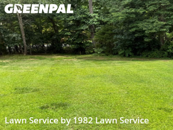 Lawn Mowing nearby Kings Mountain, NC, 