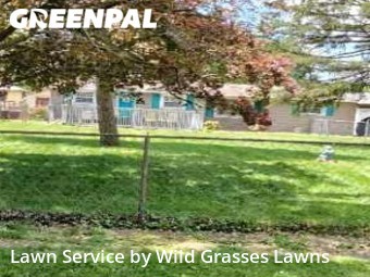 Lawn Mow nearby Terre Haute, IN, 