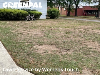 Lawn Mowing Service nearby Tuscaloosa, AL, 