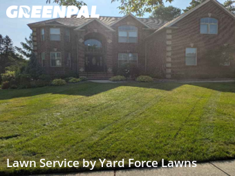 Grass Cut nearby Middleburg Heights, OH, 