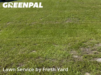 Yard Care Services in Bonita Springs, 34135, Yard Work by Fresh Yard , work completed in Oct , 2025