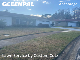 Grass Cut nearby Palm Harbor, FL, 