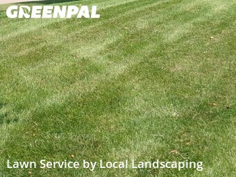 Grass Cut nearby Marion, OH, 