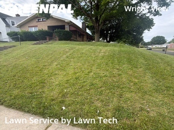 Yard Cutting nearby Dayton, OH, 