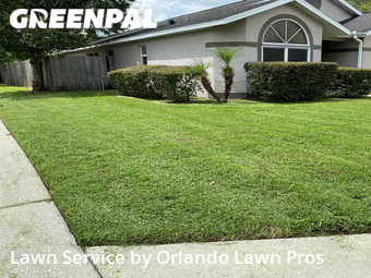 Lawn Cutting nearby Orlando, FL, 
