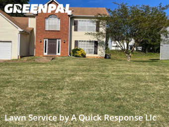 Yard Mowing nearby Ellenwood, GA, 