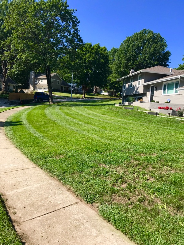 Lawn Care Service in Olathe, KS, 66061