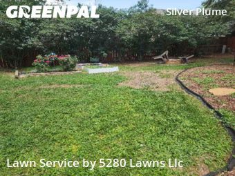 Grass Cutting nearby Fort Collins, CO, 