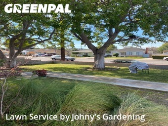 Lawn Mow nearby Burbank, CA, 