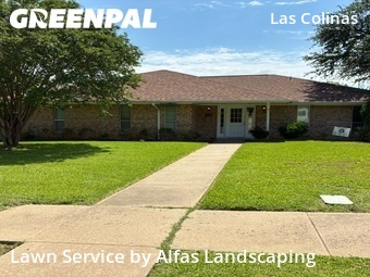 Affordable Landscaping Maintenance Services In Irving,75038,Landscaping by Alfas Landscaping, work completed in Jun , 2026