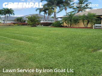 Grass Cutting nearby Cape Coral, FL, 