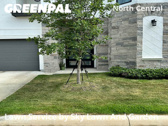 Lawn Care nearby San Antonio, TX, 