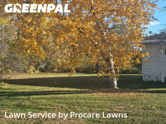 Yard Care in Brooklyn Center, 55429, Yard Mowing by Procare Lawns, work completed in Nov , 2025
