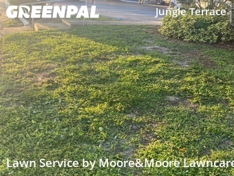 Lawn Service nearby St. Petersburg, FL, 