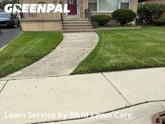 Grass Cutting nearby South Holland, IL, 