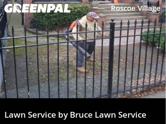 Lawn Cutting nearby Chicago, IL, 