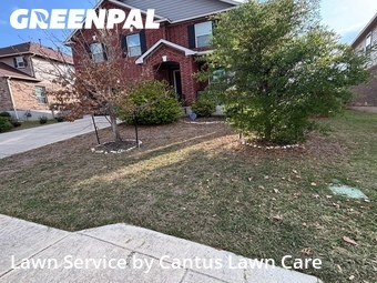 Yard Mowing nearby Helotes, TX, 