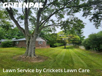 Lawn Cut nearby Zionsville, IN, 