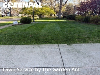 Lawn Mowing nearby Kirkwood, MO, 