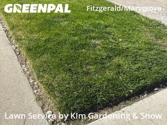 Lawn Care nearby Detroit, MI, 