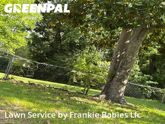 Lawn Cutting nearby Jacksonville, FL, 