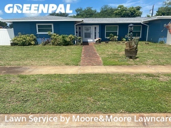 Grass Cutting nearby St. Petersburg, FL, 