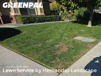Lawn Care Service nearby Murrieta, CA, 