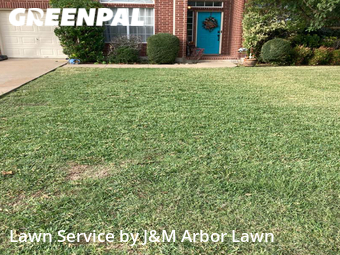 Lawn Care Service nearby Georgetown, TX, 
