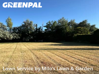 Yard Grooming in Kennewick, 99337, Yard Management by Milo’s Lawn & Garden, work completed in Nov , 2025