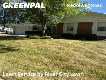 Grass Cut nearby Fort Wayne, IN, 