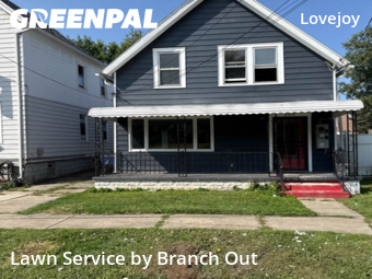 Lawn Cut nearby Buffalo, NY, 