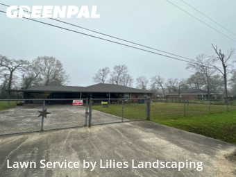 Lawn Mowin Porter,77365,Lawn Service by Lilies Landscaping, work completed in Nov , 2025