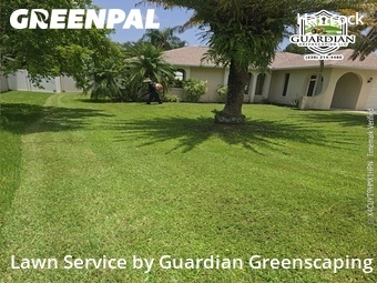 Lawn Mow nearby Cape Coral, FL, 