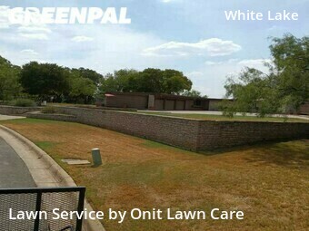 Lawn Cut nearby Fort Worth, TX, 