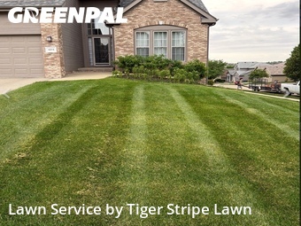 Lawn Cut nearby Omaha, NE, 