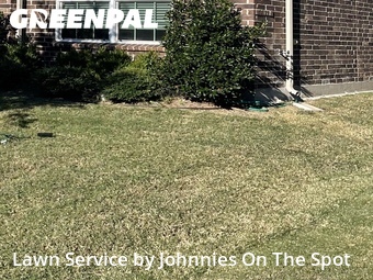 Grass Cutting nearby Forney, TX, 