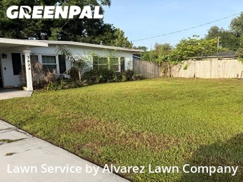 Grass Cut nearby Orlando, FL, 