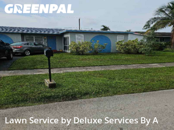 Grass Cutin Sunrise,33322,Lawn Mow by Deluxe Services By A, work completed in Dec , 2025