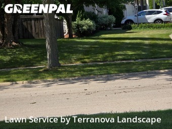 Lawn Work in Carpentersville, 60110, Yard Mowing by Terranova Landscape, work completed in Dec , 2025
