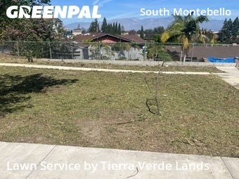 Lawn Cutting nearby Rosemead, CA, 