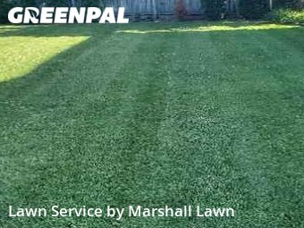 Lawn Cut nearby Chesapeake, VA, 