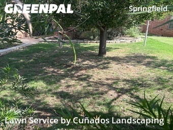Lawn Maintenance nearby Lubbock, TX, 