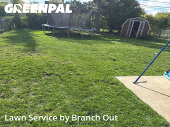 Yard Mowing nearby Kenmore, NY, 